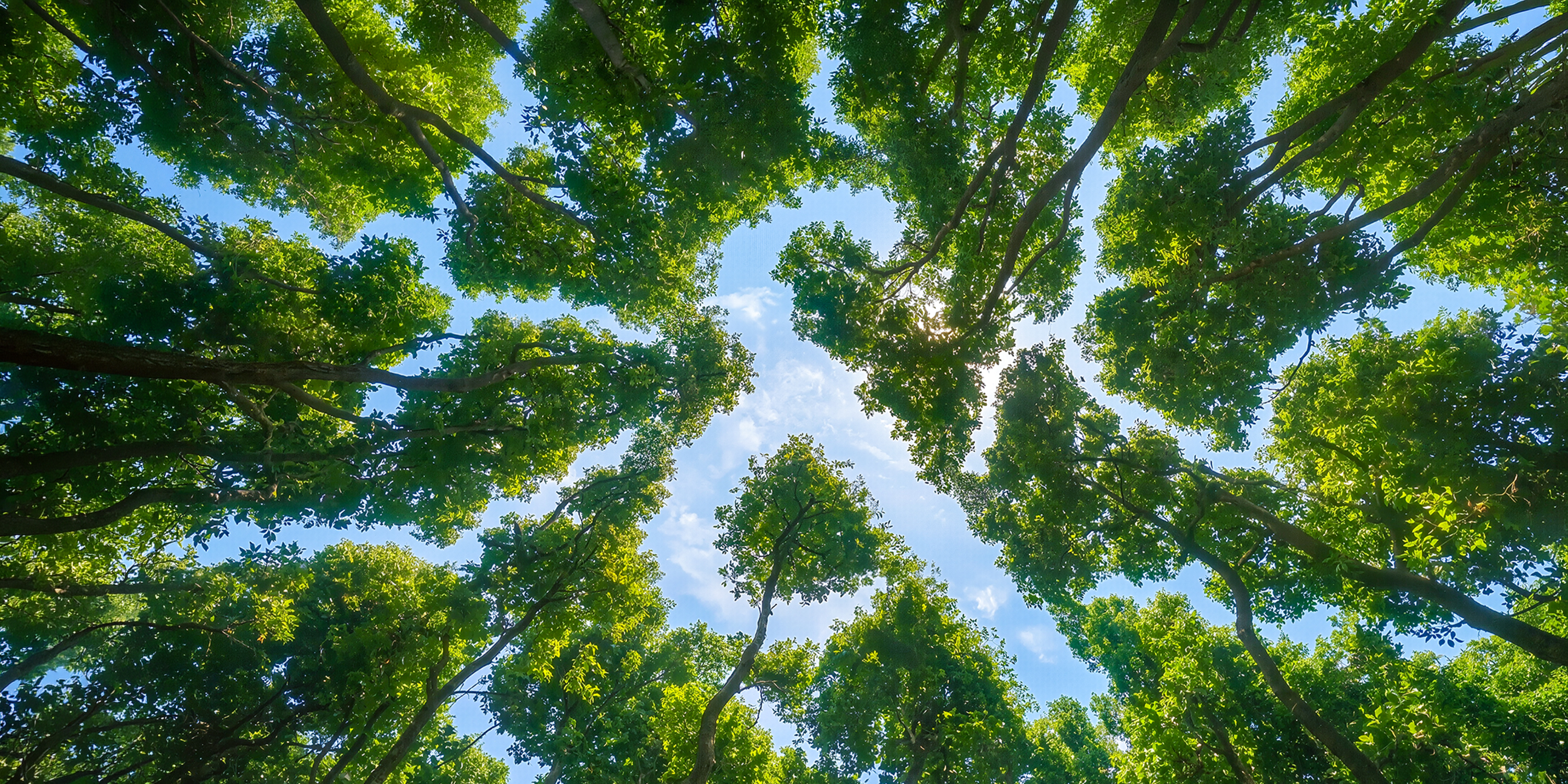 banner-各个章节-可持续